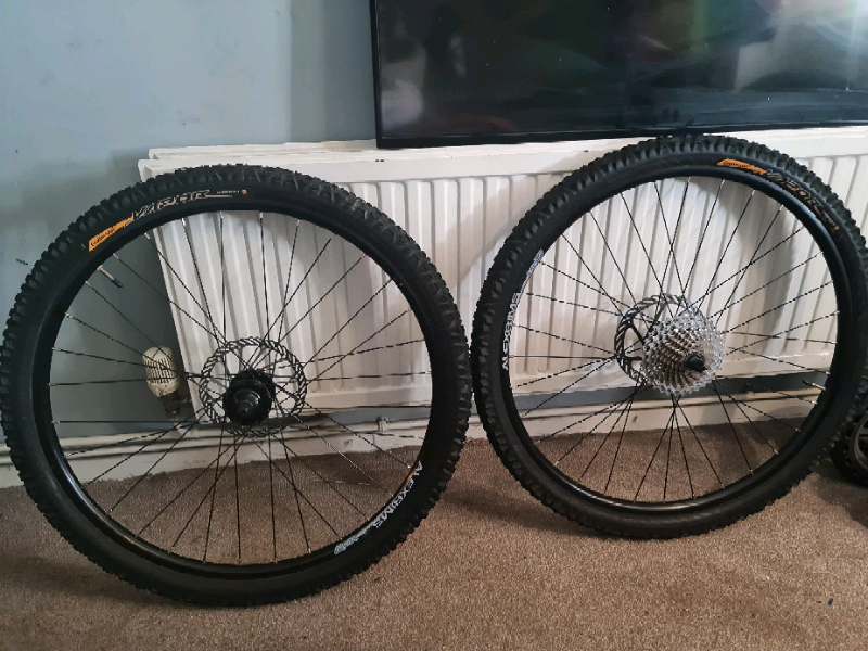 Alexrims 10 speed 26\